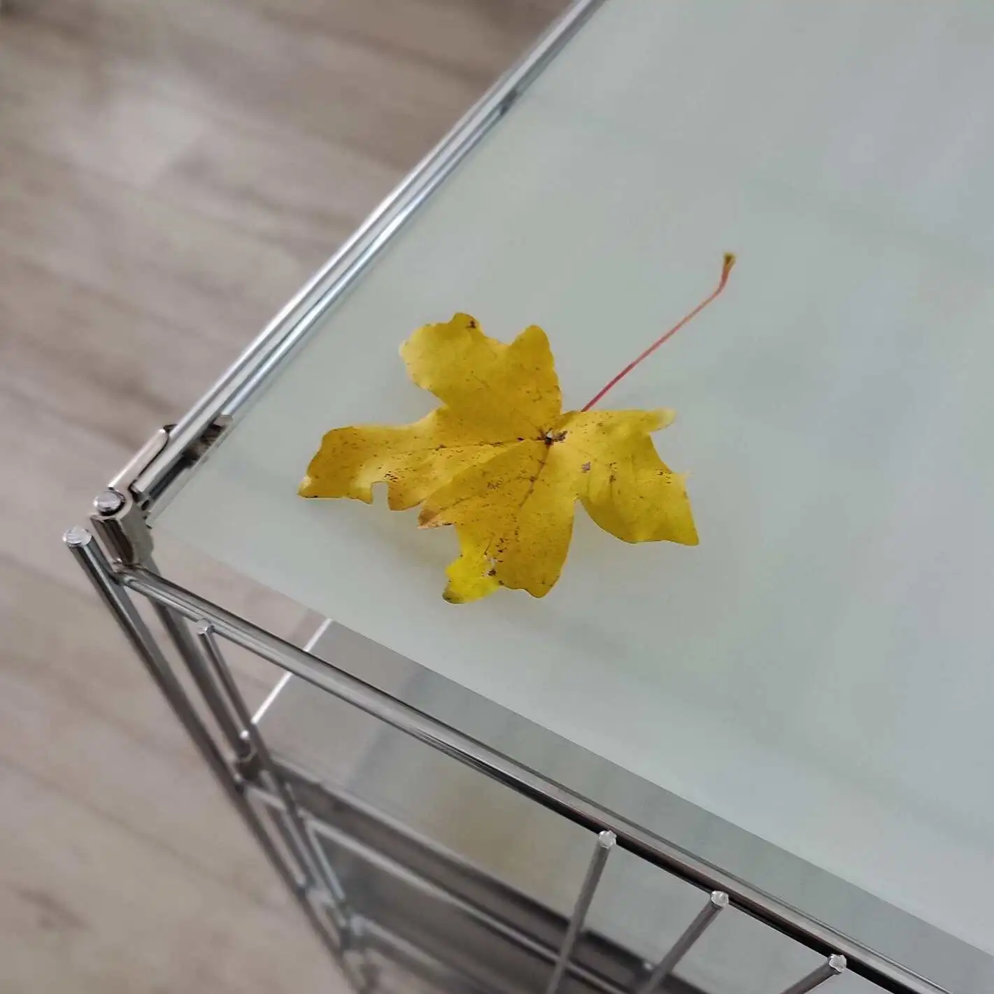 Art. Nr. 270447 satinierte Milchglasplatte 46 cm breit zur Auflage auf Gitterboden 46x38 cm aus der BIII 380 Seri. Sicherheitsglas mit geschliffenen Kanten