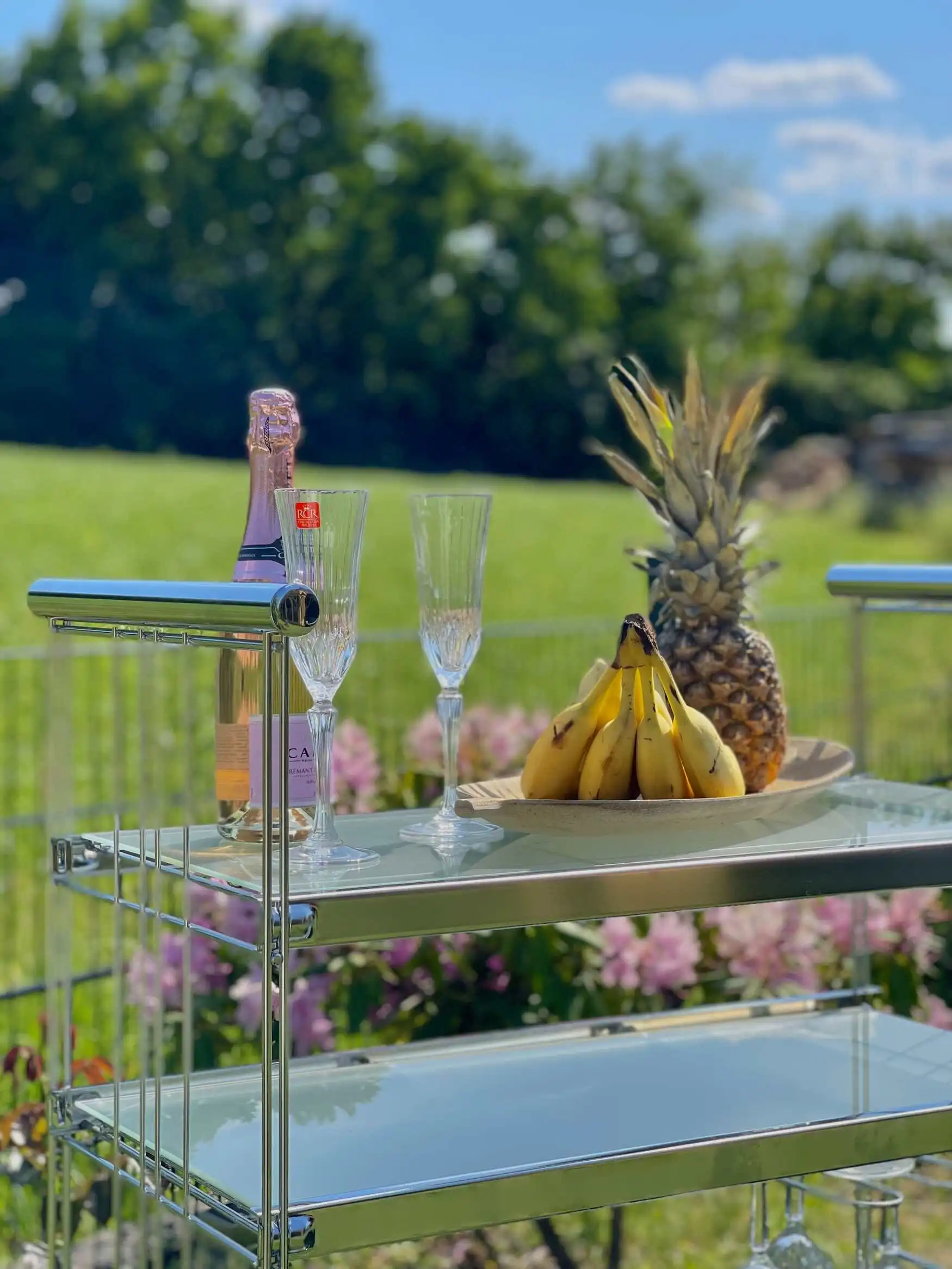 Servierwagen rollbar mit Glasböden Gläserhalter + Flaschenboden