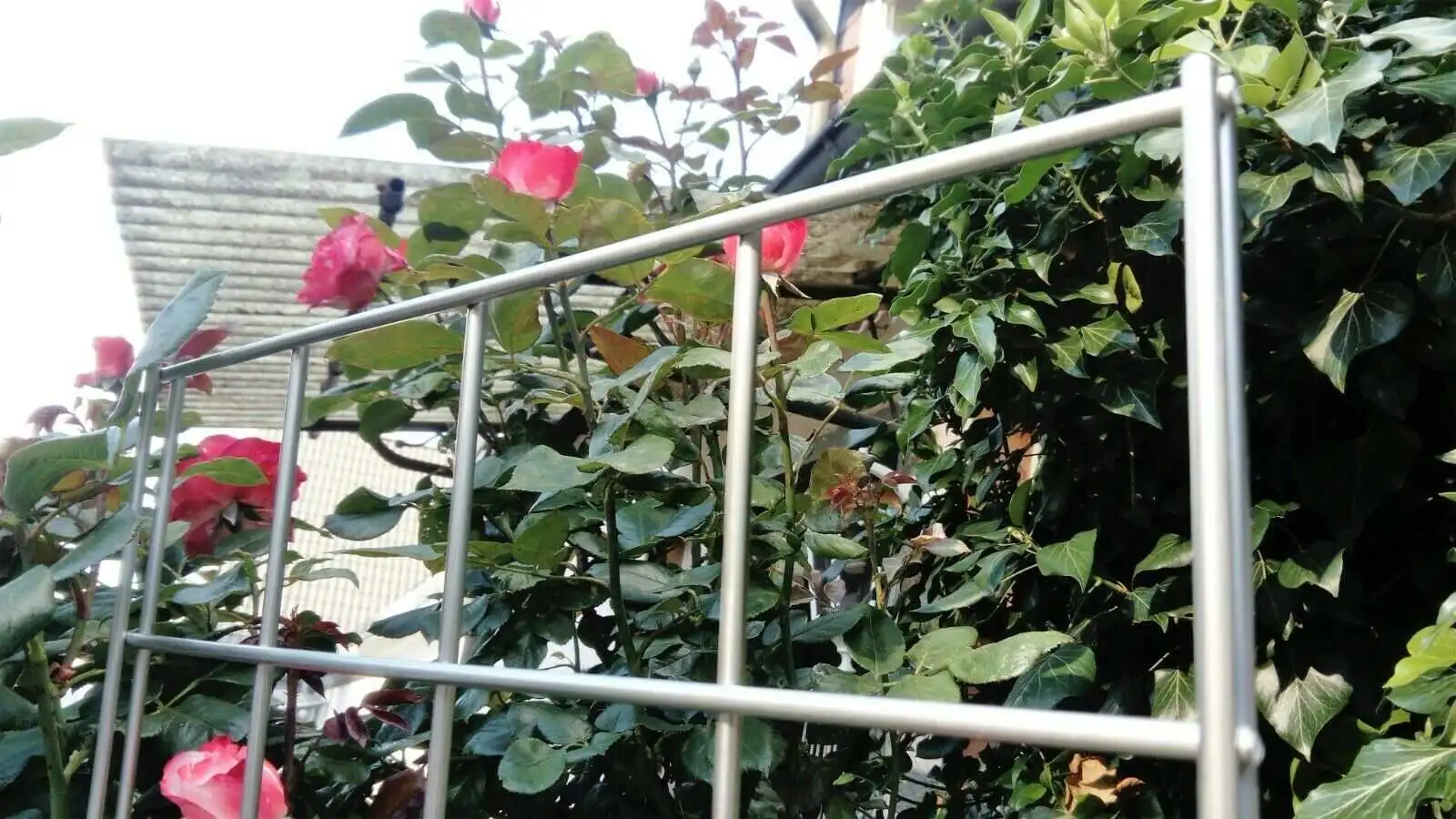 Rankgitter aus Edelstahl 180x70 cm (mit Erdspieß) - Art. Nr. 546-2911-03